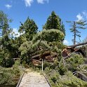 IMG_4520001