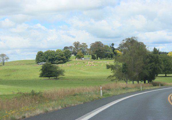 Aukland to Napier