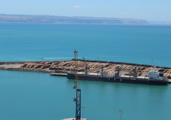 Logs for export