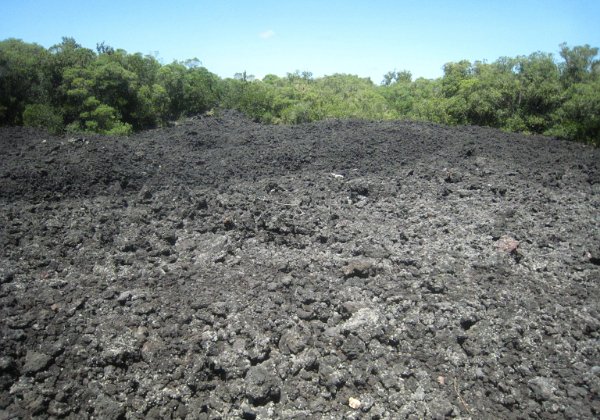 Rangitoto Island