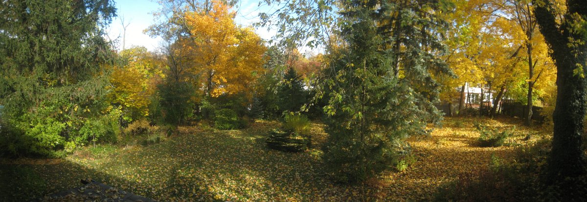 IMG7457-58-59_merge-paint1