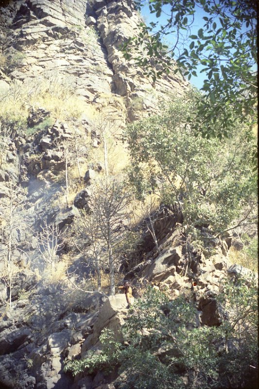 Original image