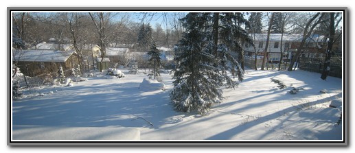 Backyard_stretch-Winter-2560-480.jpg